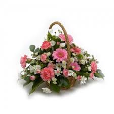 Check spelling or type a new query. Send Flowers To Australia From Ireland
