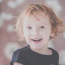 Steve Brookes's Profile