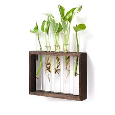 —food where it never grew before! Wall Hanging Glass Planter Propagation Station Modern Flower Bud Vase Vintage Wood Stand Rack Root Wood Flower Stand Buy Wholesale Custom Safety Portable Wooden Flower Shelf For Home Office Bedroom Handmade Simple