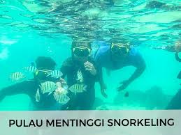 Pulau kukup johor national park / pulau kukup. Senarai Pulau Dalam Mersing Island Hopping Snorkeling Facebook