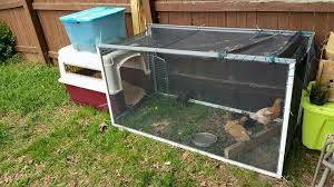 small temporary coop chickens backyard homestead chickens chicken pen