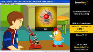We did not find results for: Cell Structure And Functions Introduction To Cells Science Class 8 Youtube