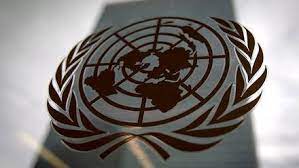 Es el órgano principal de la onu, que permite el debate entre los 193 países miembros. Organizacion De Las Naciones Unidas Onu Rt