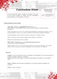 Cv Type Mcdo Cv Type Lettre De Motivation Type Curriculum Vitae