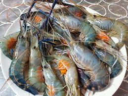 Banyak udang banyak garam, banyak orang banyak ragam. Banyak Udang Banyak Garam Redza Bong