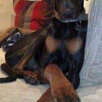 Anna Marie Bettis (annamariebettis)