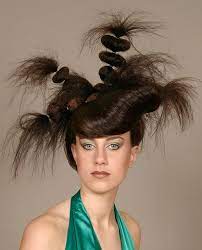 Funny Hairstyle Crazy Hair Hair Humor Crazy Hair Days