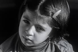 Analogue Photography: A Personal Journey