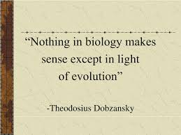 Ppt Nothing In Biology Makes Sense Except In Light Of Evolution Theodosius Dobzansky Powerpoint Presentation Id 9726252