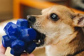 Shop outward hound treat puzzle toys. The 10 Best Dog Toys According To Our Pups Reviews By Wirecutter