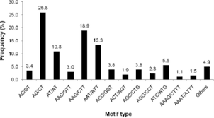 Image result for Cyamopsis serrata