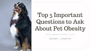 We won the bradenton herald's 2008 people's choic award. Latest News River Landings Animal Clinic In Bradenton Florida