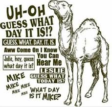 Explain your version of song meaning, find more of camel lyrics. Happy Hump Day Funny Quotes I Love To Laugh Make Me Laugh