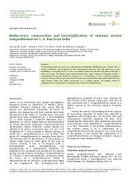 Image result for Isoetes welwitschii