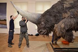Elasmotherium Reconstruction At The Usti Museum Looks Like A Star Wars Creature Ancient Animals Animals Extinct Animals