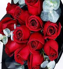 Maybe you would like to learn more about one of these? Bouquet De 12 Rosas Rojas En Lolaflora Com