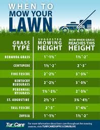 Lawn Care Tip How To Mow In The Heat Of Summer Turf Care