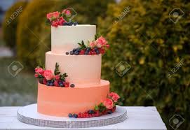 Check spelling or type a new query. Large Wedding Cake In Three Tiers Of Peach Color With Natural Stock Photo Picture And Royalty Free Image Image 112412377