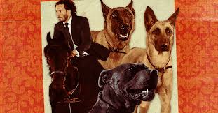 She plays an old friend and fellow assassin to john wick named sofia. How John Wick Chapter 3 Parabellum Turned Animals Into Action Stars The Ringer