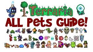 Terraria All Pets Light Pets Guide All Platforms 1 2 4 And 1 3 Pc Console Mobile Youtube