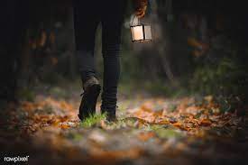 Download Premium Image Of Man Walking With A Lantern In A Woods 583261 Man Images Walking Images Night Forest