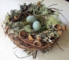 Bird Nest Nature Decoration Robin Eggs By Inthebluebellwoods Bird Nest Craft Spring Crafts Spring Decor