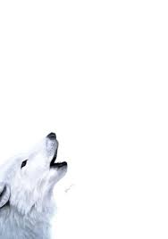 This arctic wolf wallpaper provides a ton of hd arctic wolf wallpapers / images to set as . Snow White Wolf White Wolf Animals Wolf