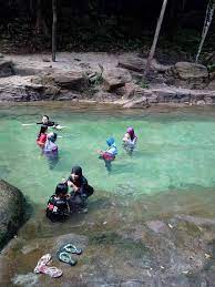 Air terjun penimbungan atau dikenal juga dengan nama air terjun penimbungan torean adalah sebuah air terjun berketinggian sekira 100 meter yang berada di lereng utara gunung rinjani. Kejernihan Air Taman Rimba Teluk Bahang Penang Blog Sihatimerahjambu