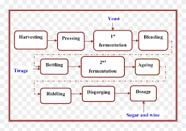 A Flow Diagram Of The Stages Of The Sparkling Winemaking