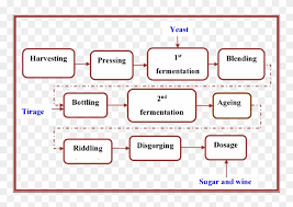 a flow diagram of the stages of the sparkling winemaking