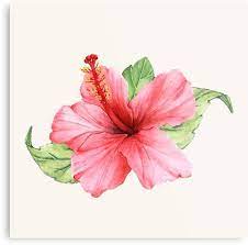 Pink Watercolor Hibiscus Flower Metal Print By Newburyboutique In 2021 Flower Drawing Hibiscus Flower Drawing Hibiscus Drawing