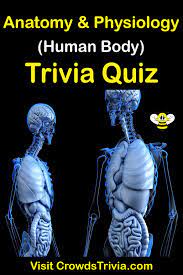 For decades, the united states and the soviet union engaged in a fierce competition for superiority in space. Anatomy And Physiology Trivia Quiz Questions And Answers Fun Facts In 2021 Anatomy And Physiology Quiz Human Body Trivia Quiz Questions