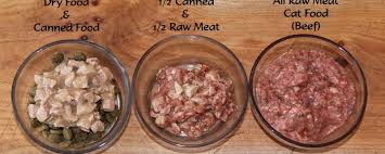 The best raw cat food is rich in protein with moderate levels of fat and low carbohydrate content. What Is The Difference Between Raw And Canned Food For Cats The Happy Beast
