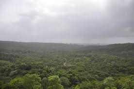 Sanjay Gandhi National Park Mumbai ...
