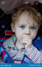 228 Questioning Gaze Stock Photos