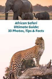 Whether you want to spend a few days gorilla trekking in uganda or. African Safari Animals Ultimate Photography Guide 33 Photos Tips Facts Epic7travel Com Adventure Travel Blog African Safari Africa Travel Safari Photography