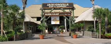 The taxslayer bowl two of college football's best sec vs. Jacksonville Zoo And Garden First Coast Town Planner