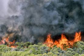 Jul 01, 2021 · συναγερμός σήμανε στην πυροσβεστική το μεσημέρι της πέμπτης όταν ξέσπασε φωτιά σε δασική έκταση στη μονεμβασιά. Fire Report Fwtia Twra Fwtia Twra Enhmerwsh Problepsh Prolhpsh Texnologia Gia Thn Katapolemhsh Twn Fwtiwn