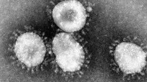 Wir haben die wichtigsten infos für dich zusammengefasst. Coronavirus Fragen Und Antworten Wie Gefahrlich Ist Das Coronavirus Augsburger Allgemeine