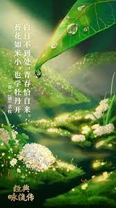 苔 清 袁枚 白日不到处 青春恰自来 苔花如米小 也学牡丹开 creative poster design illustrations and posters graphic illustration