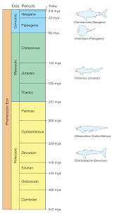 Sign In Or Register Geologic Time Scale Science Nature Signs