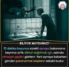 Yasemin Adli Kullanicinin Bilgi Panosundaki Pin 2020 Bilgi Alintilari Bilgelik Alintilari Bilgi Karti