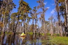 A taste of a louisiana favorite: 16 Best Things To Do In Louisiana Usa Dotted Globe