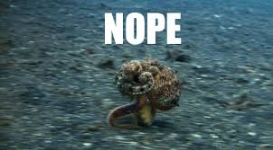 Nope Nope Nope Gifs Page 4 Wifflegif