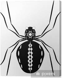 Black spider with white spots. Black Spider With White Pattern On Back Stomach Canvas Print Pixers We Live To Change