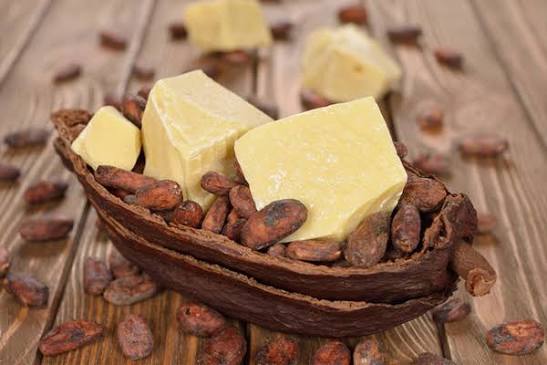 Bơ Ca Cao Để Làm Gì? Và Những Tác Dụng Của Bơ Cacao
