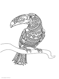 Visit topcoloringpages.net for more free coloring sheets ith exotic birds. Toucan Coloring Page For Adults Coloring Pages Printable Com