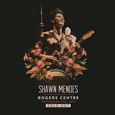 Shawn Mendes Rogers Centre Tumblr