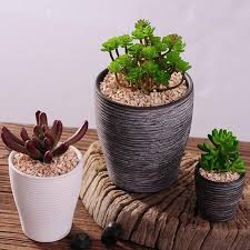 We provide wholesale plant pots and containers to both interior and exterior landscaping professionals, nationally and internationally, while maintaining a wide variety of products. New Style Succulents Pots Wholesale Indoor Flower Pot Table Pot Ceramic Planter Indoor Flower Pots Flower Pots Small Potted Plants