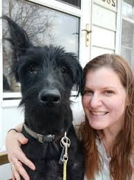 Hello everyone. This is my sweet rescue. He came to us in extremely poor  health, including grossly underweight and full of demodex mites (mange). He  was extremely uncomfortable and smelly. After 5